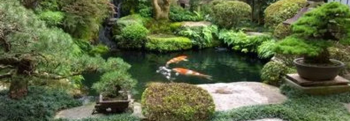 Japanischer Garten mit Teich und Koi